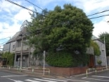 本駒込戸建