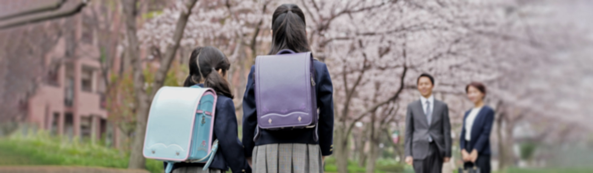 23区 小学校区別の購入物件特集