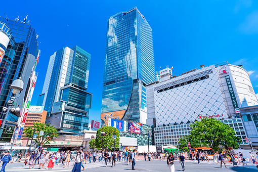 渋谷区（渋谷・恵比寿・代官山 など）
