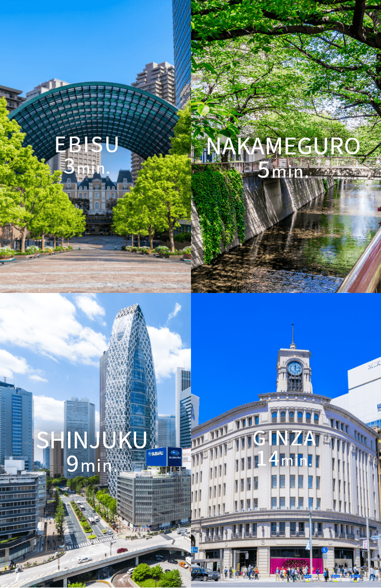 ebisu nakameguro shinjuku ginza