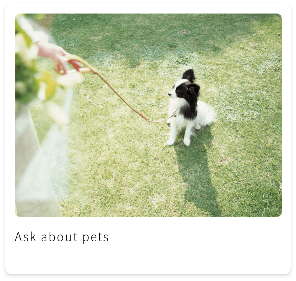 Ask about pets