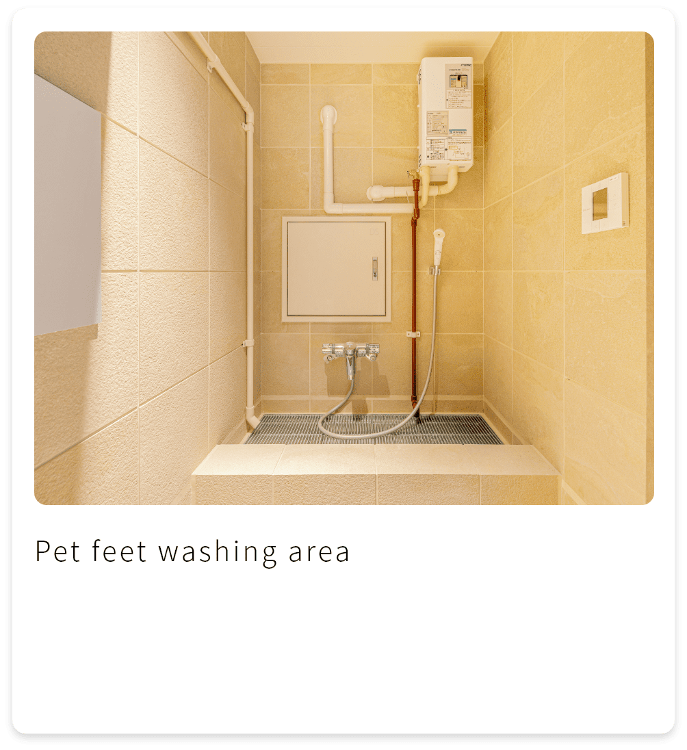 Pet feet washing area