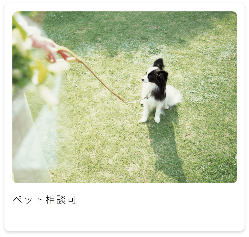 ペット相談可