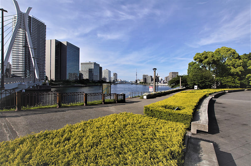 中央区立石川島公園