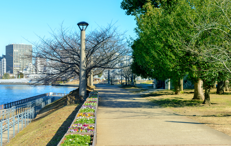 中央区立 石川島公園