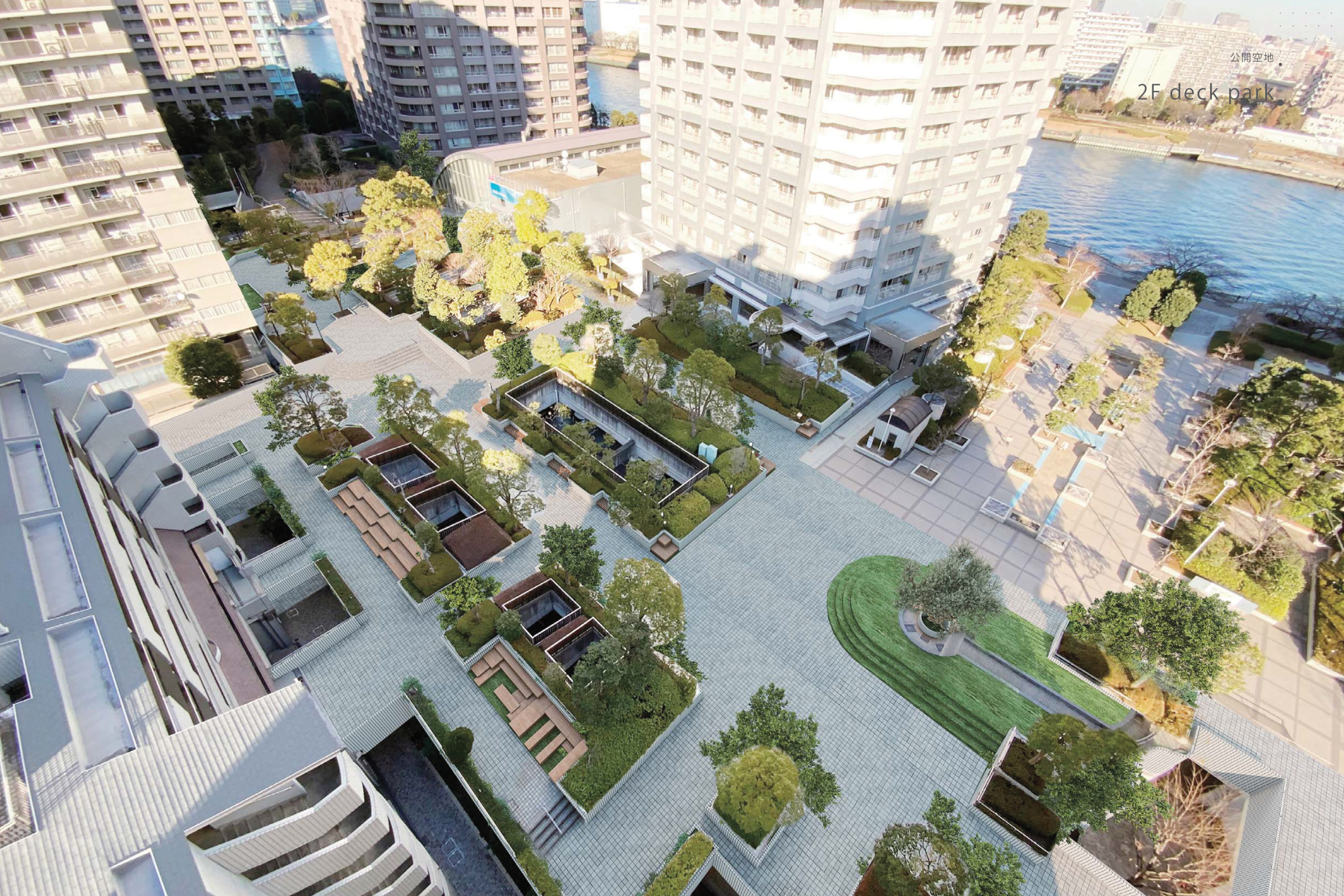 ジャカランダ広場