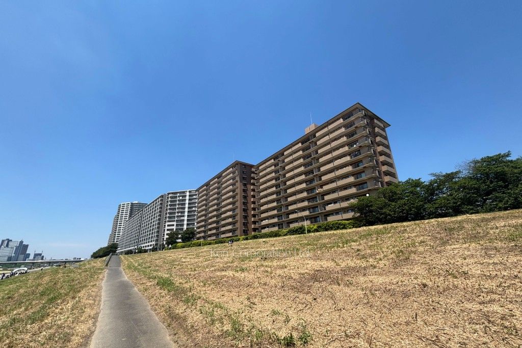  外観ひき
