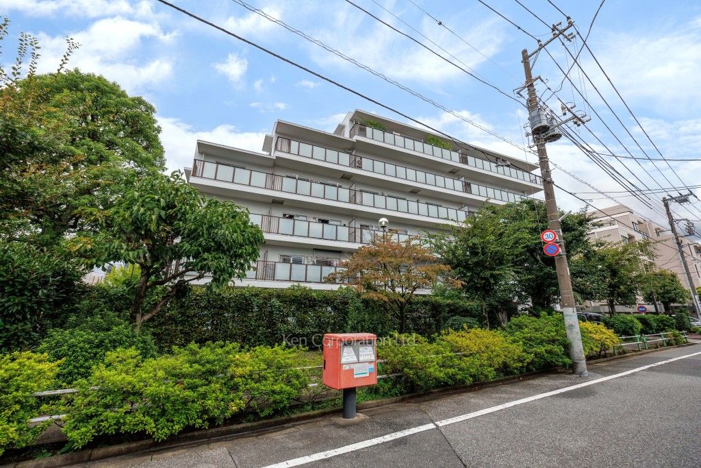  外観ひき