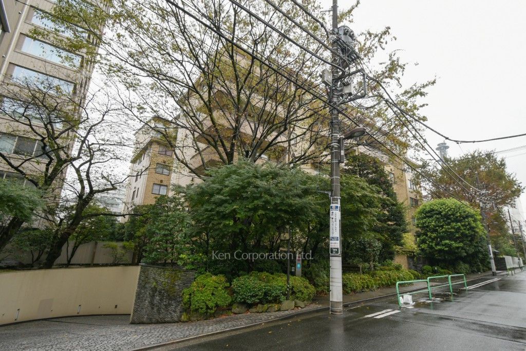  外観ひき