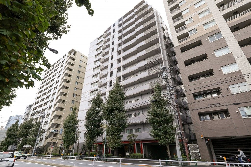 外観ひき