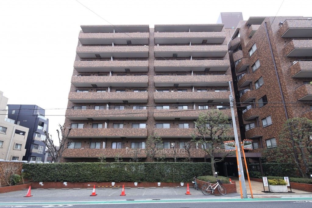  外観ひき