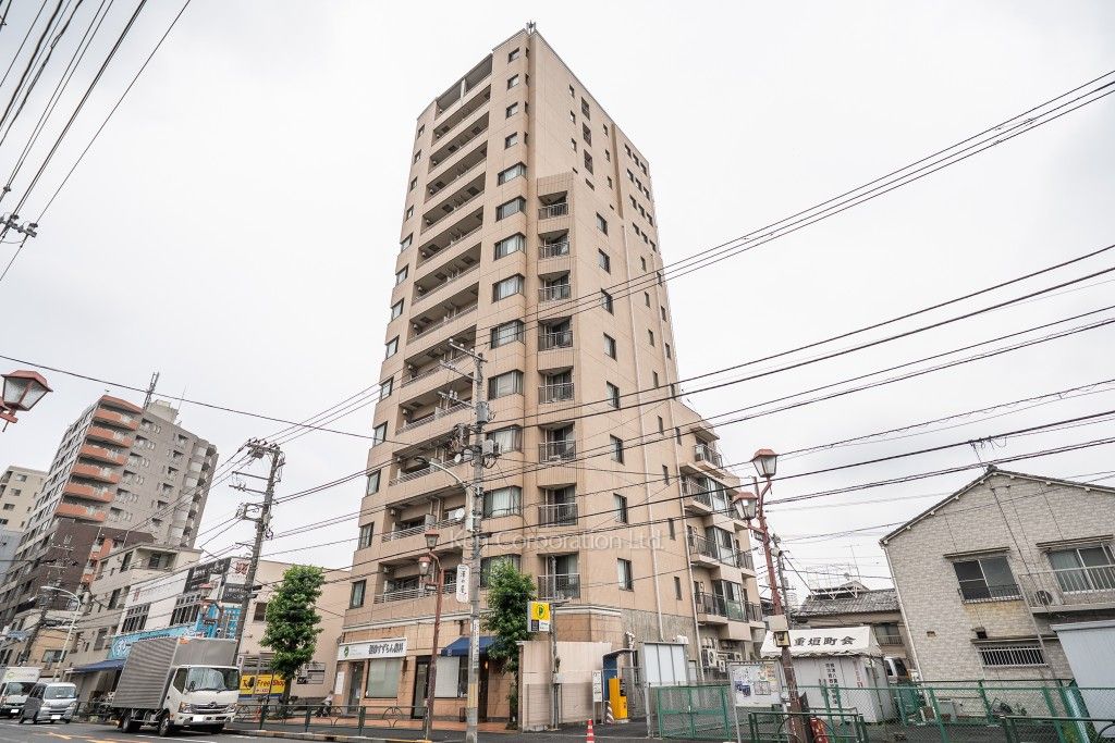  外観ひき
