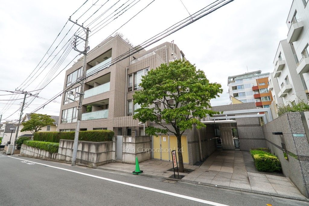  外観ひき