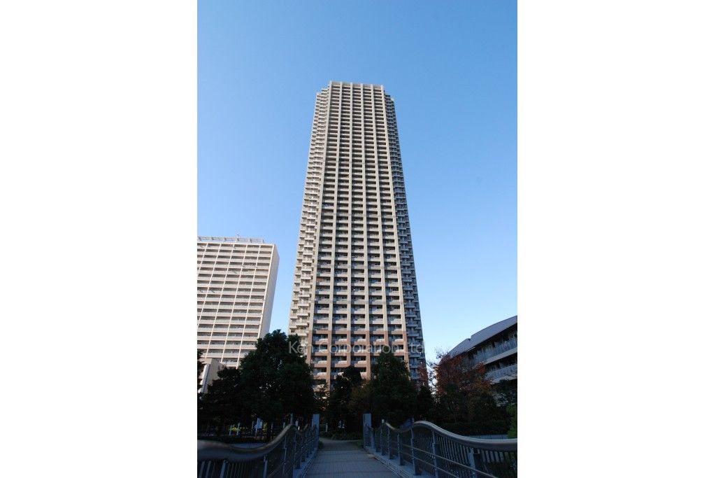  外観ひき