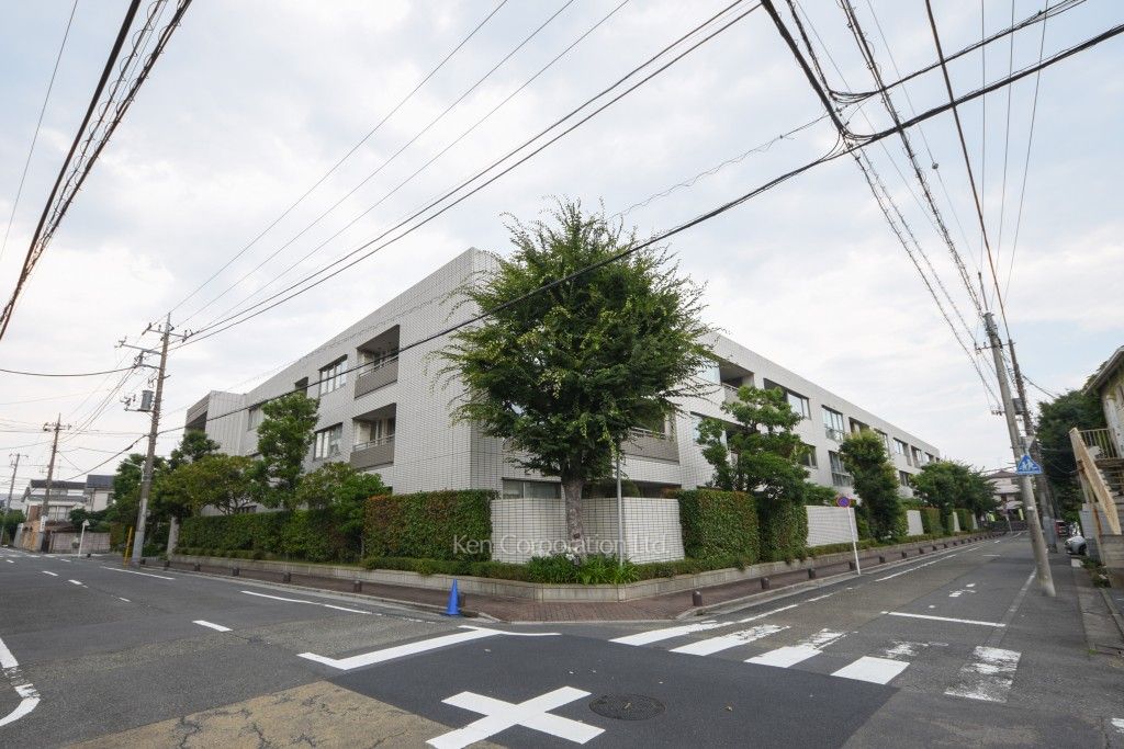  外観ひき