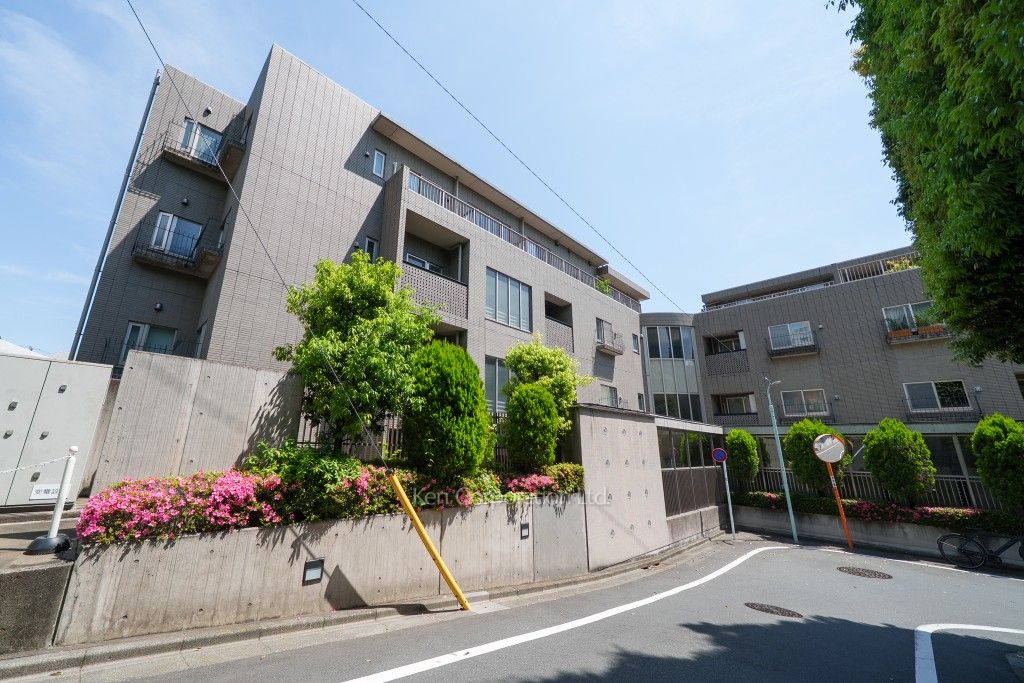  外観ひき