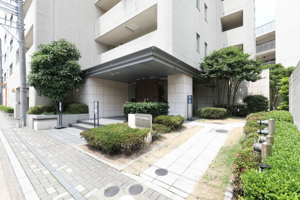 葉山 All Japan Superbike - Kawasaki ZX-10R Team Green 2013