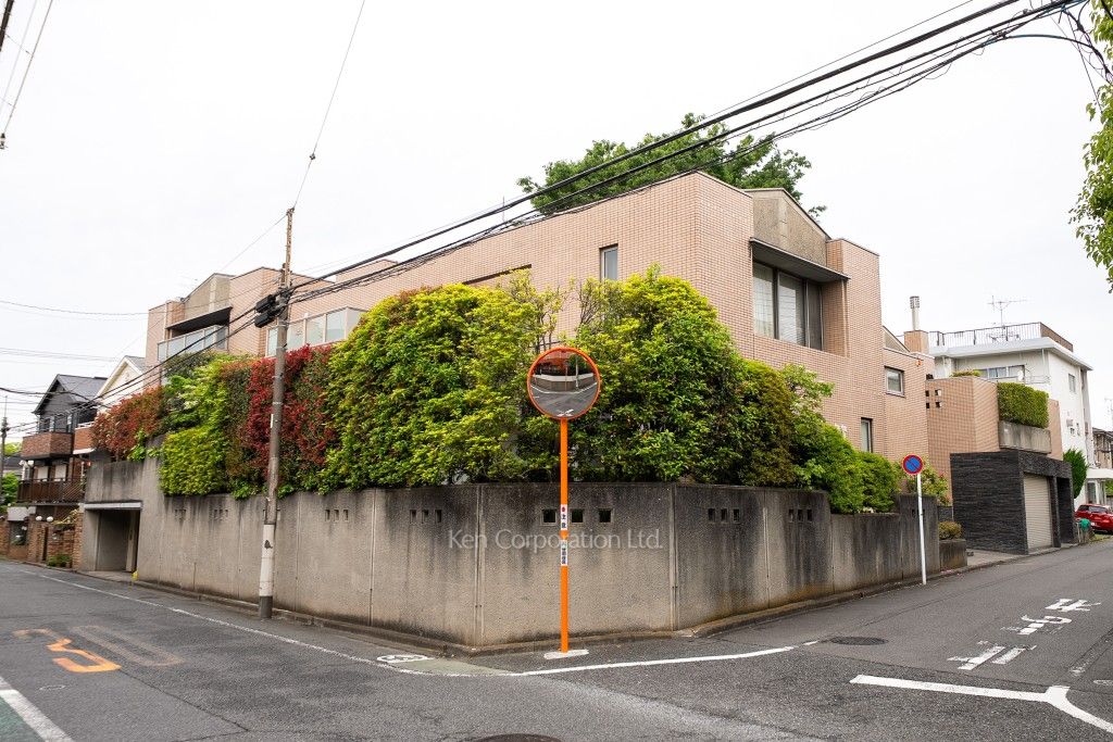  外観ひき
