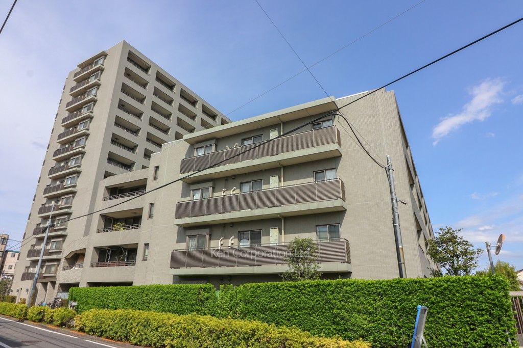  外観ひき