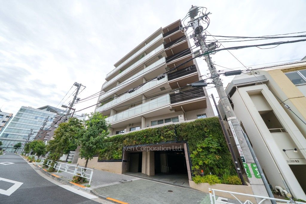  外観ひき