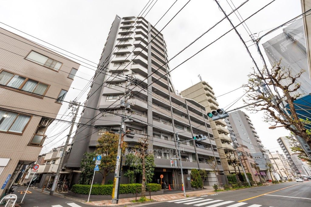  外観ひき