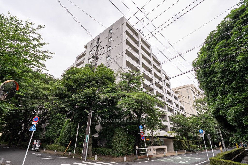  外観ひき