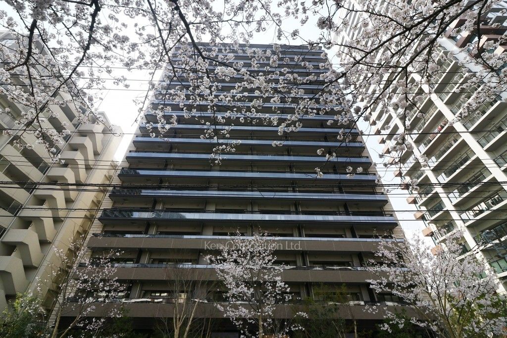 ハダテラス MT-RADEN/E EX #16936 | Deviser ｜株式会社ディバイザー｜長野