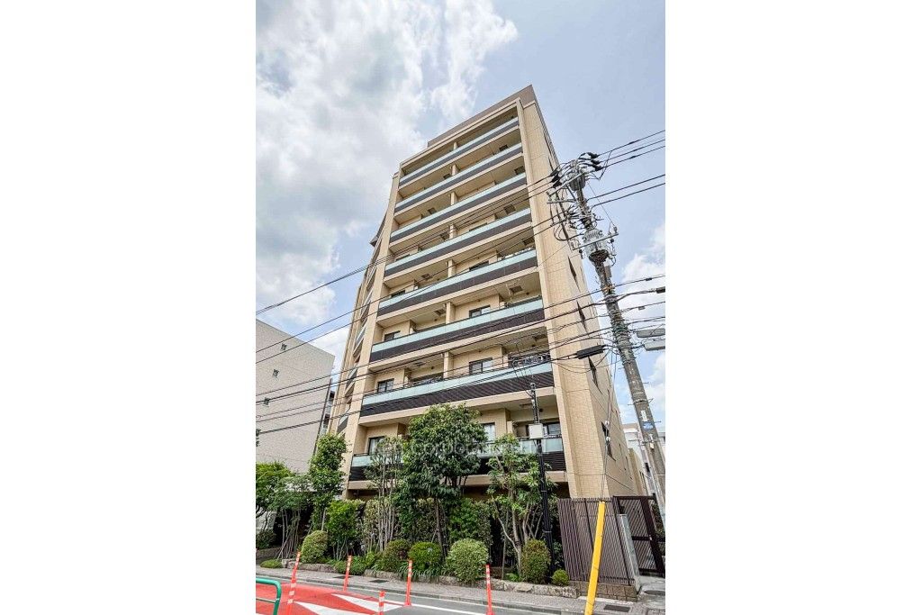 外観ひき