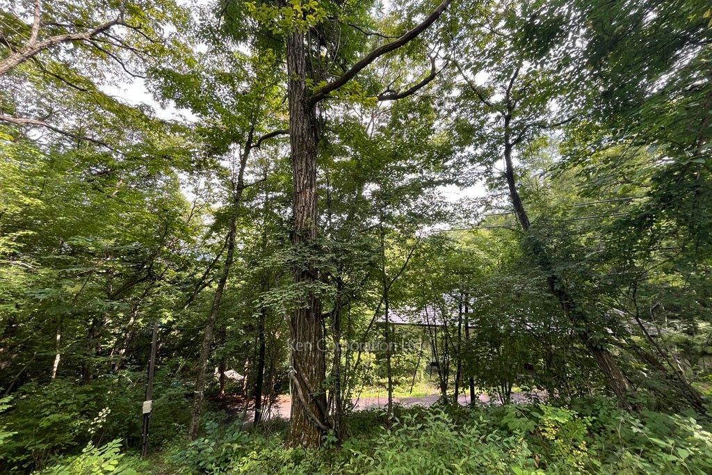 軽井沢千ヶ滝西区土地 2024085061｜高級賃貸マンションや高級住宅の