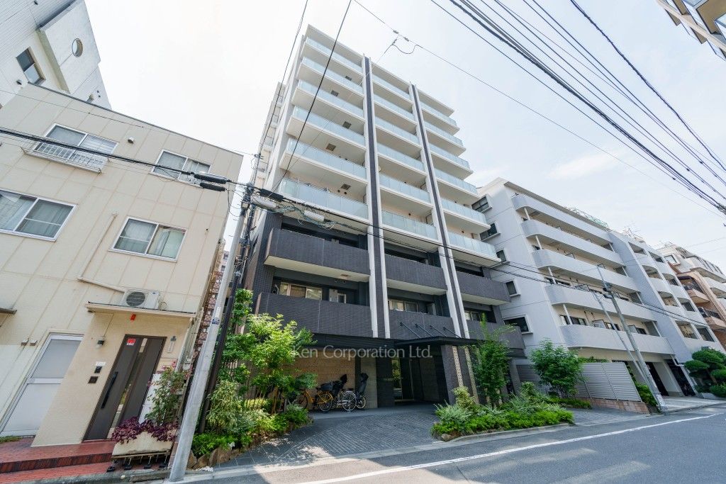  外観ひき