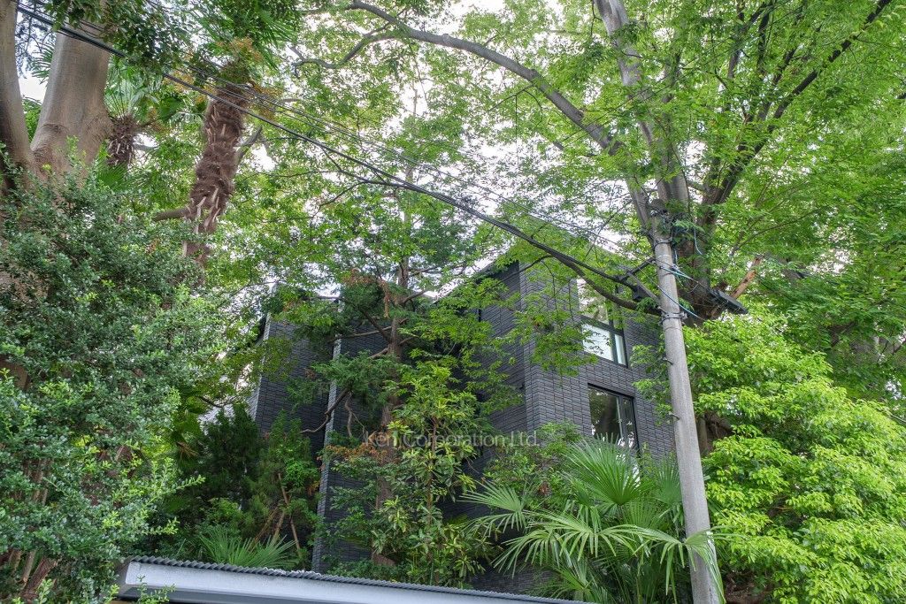 THE ARBUTUS HILLS KAKINOKIZAKA