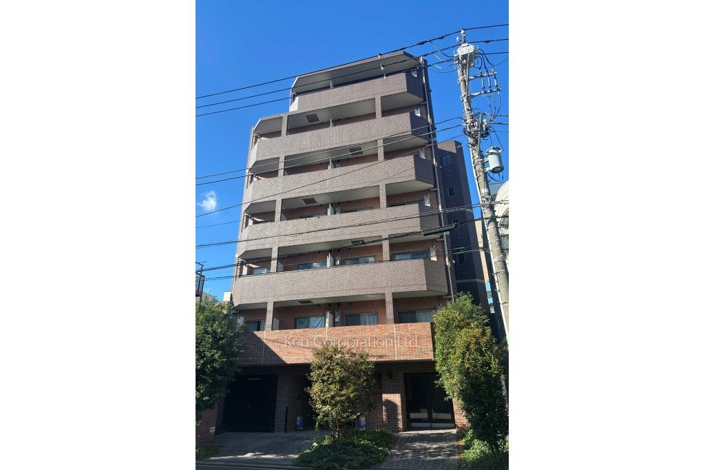  外観ひき