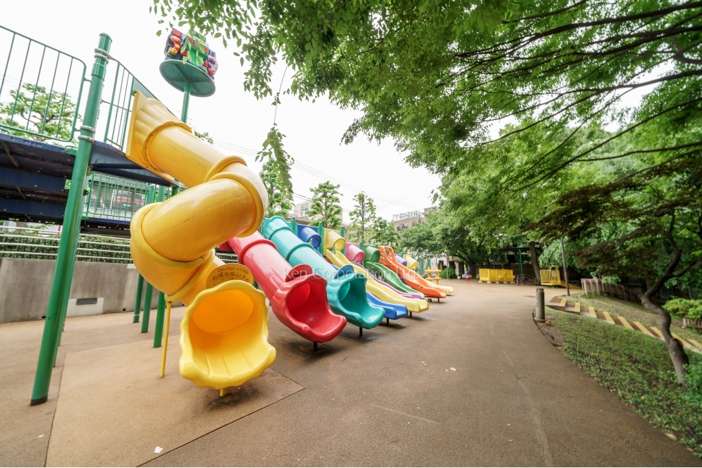 トリプレックスヤナギワラ