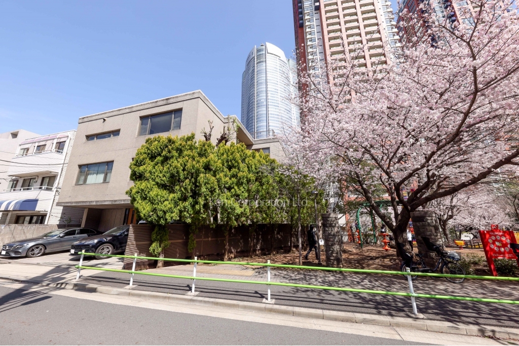 トリプレックスヤナギワラ