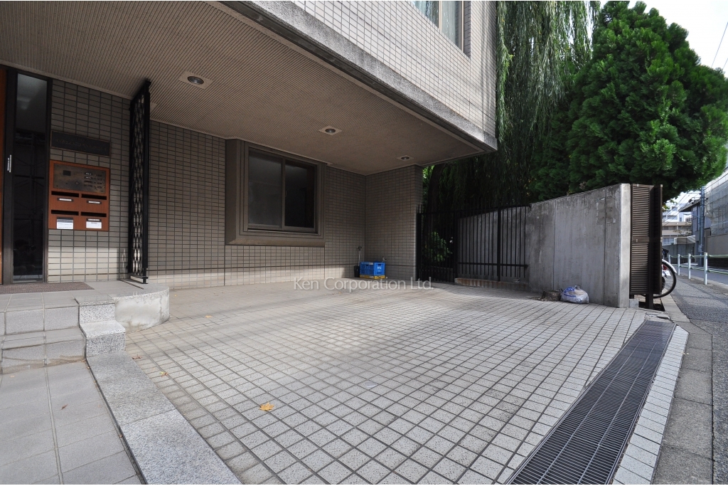 トリプレックスヤナギワラ