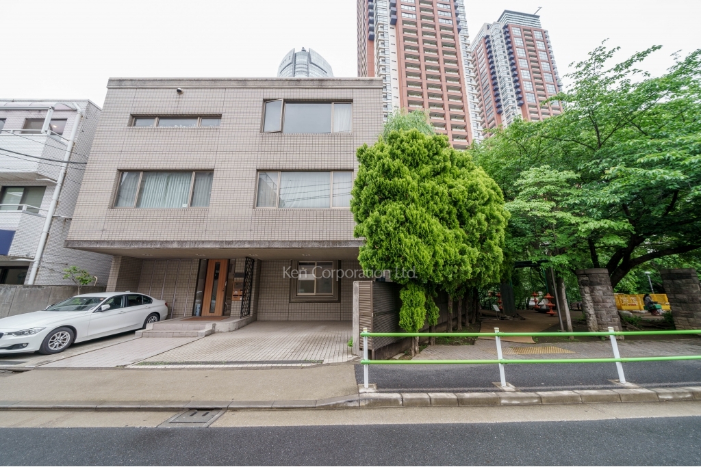 トリプレックスヤナギワラ