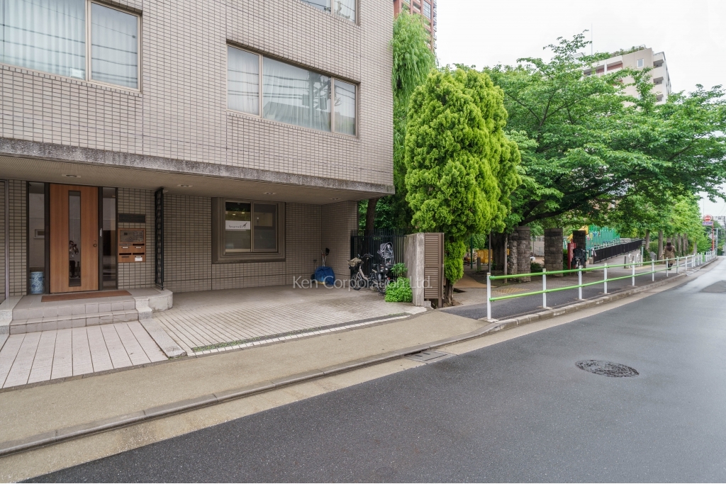 トリプレックスヤナギワラ