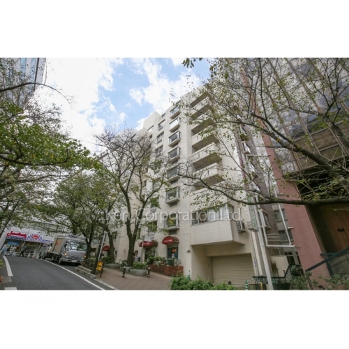 新南平台マンション