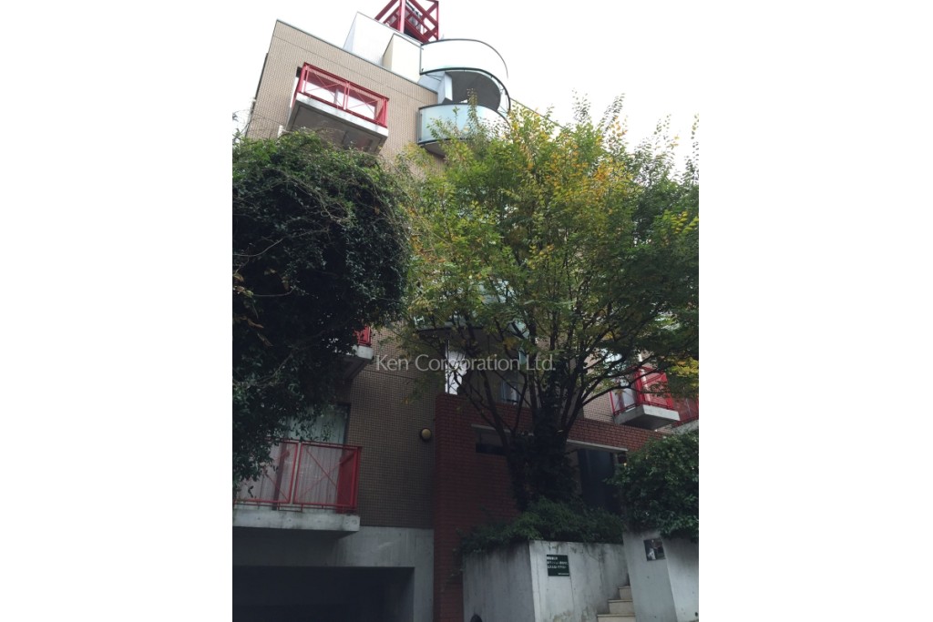 ＦＵＥＲＴＥ　ＤＡＩＫＡＮＹＡＭＡ