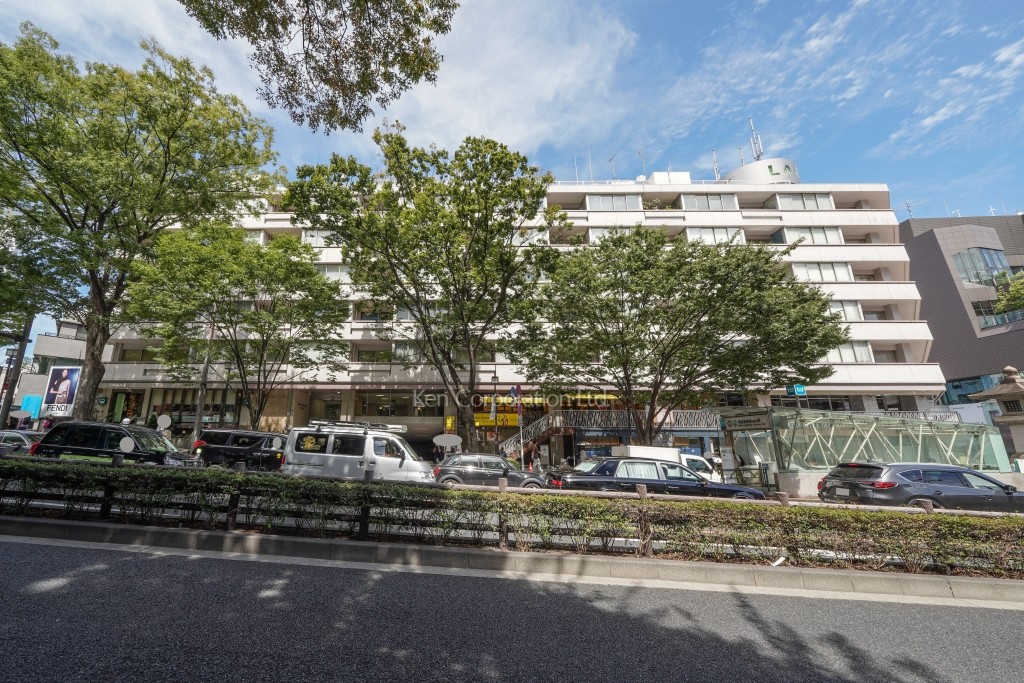 グリーンファンタジアビル