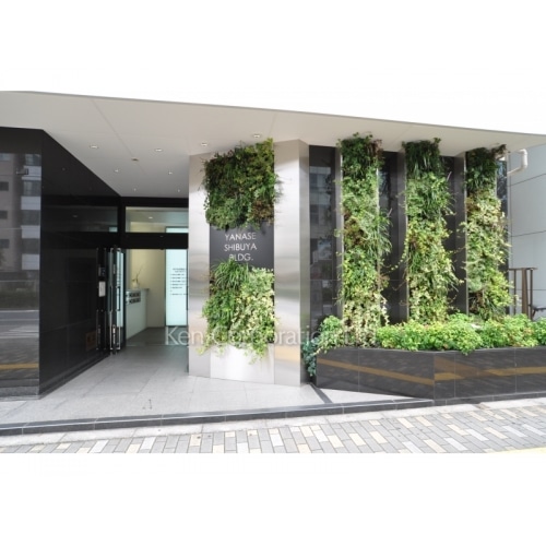 ヤナセ渋谷ビル