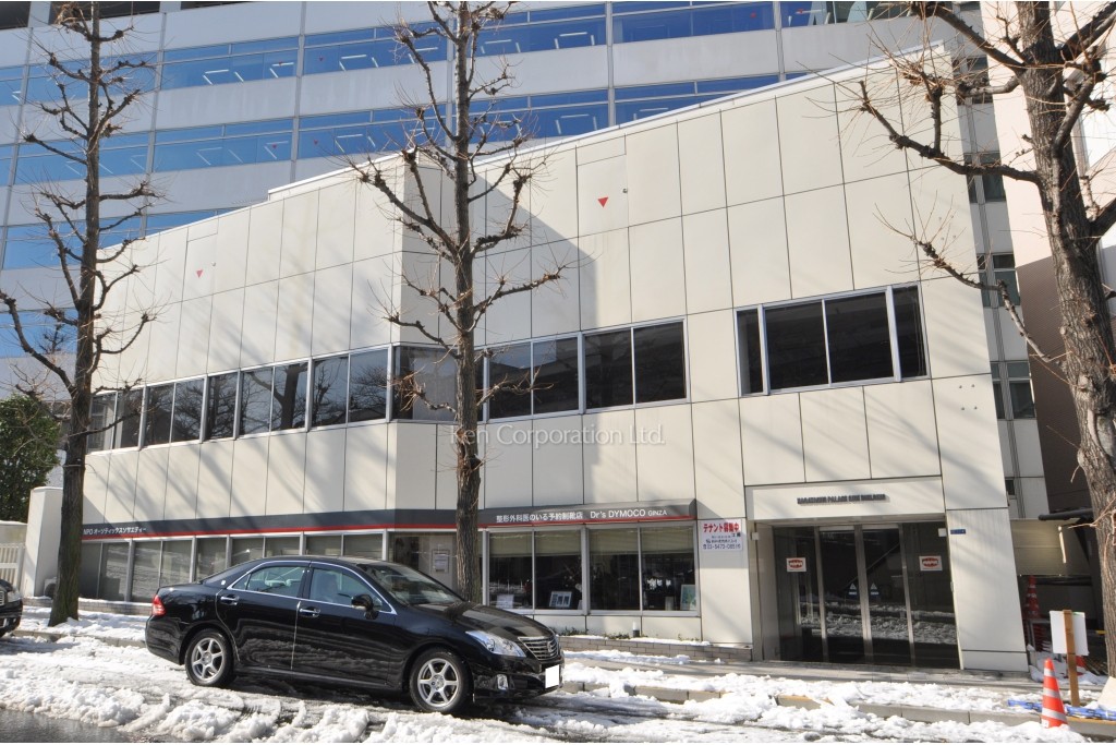 永田町パレスサイドビル