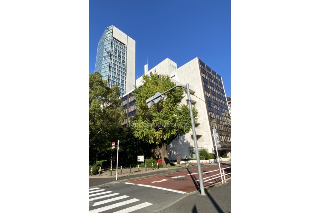 黒龍芝公園ビル