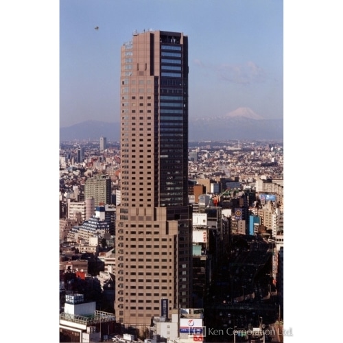 セルリアンタワー