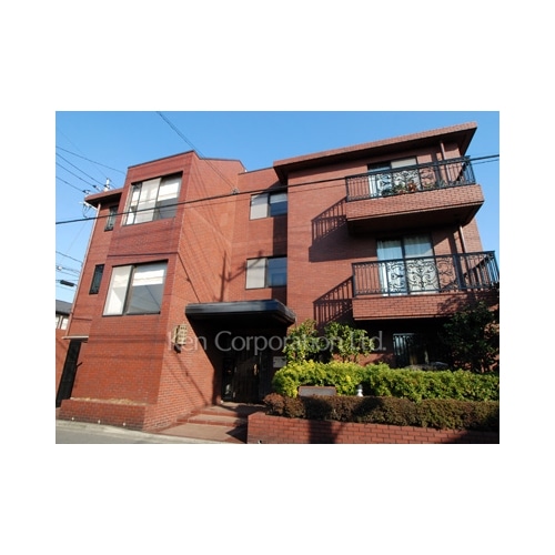 マグノリア（サウスマグノリア）