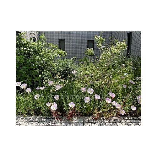 ベイベリー自由ヶ丘