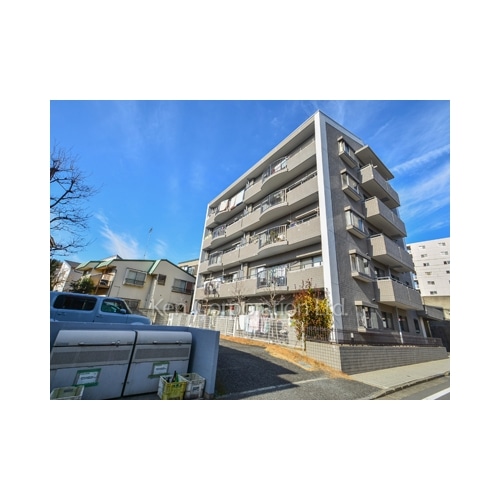 コート花みずき