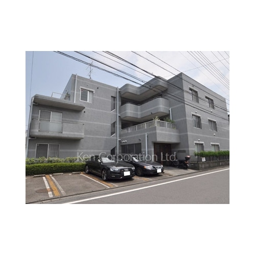 ＭＡＩＳＯＮ　ＣＥＲＩＳＩＥＲ