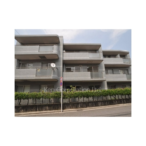 ＭＡＩＳＯＮ　ＣＥＲＩＳＩＥＲ