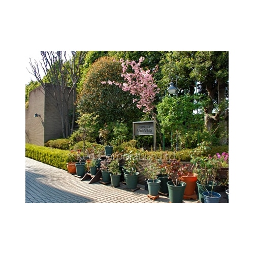 西落合コンパウンド